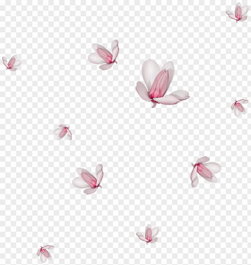 Falling Magnolia Flower Watercolor Painting Drawing Clip Art PNG