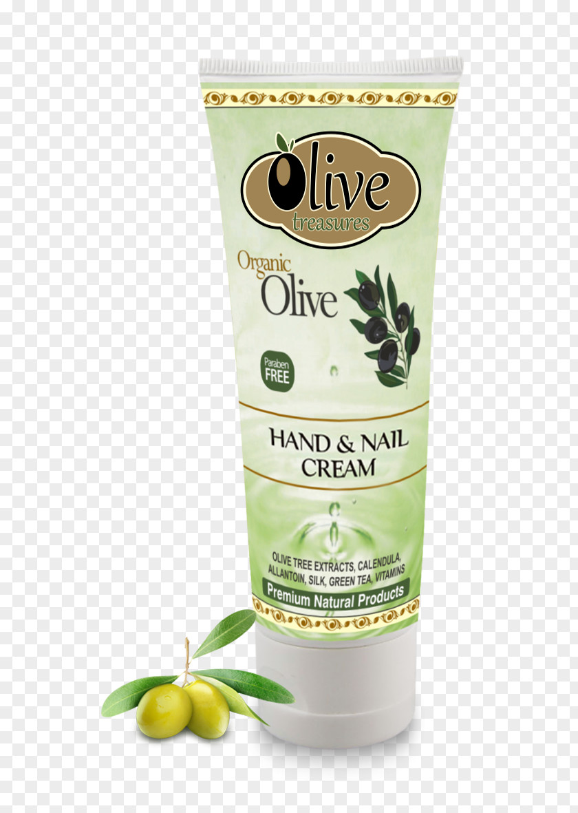 An Aloe Vera Cream Lotion Olive Oil Avocado PNG