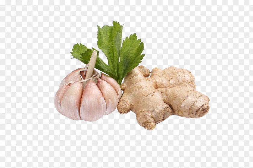Ginger And Garlic Tea Spice PNG