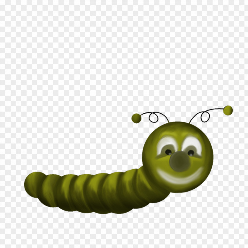 Insect Caterpillar Butterfly Cartoon PNG