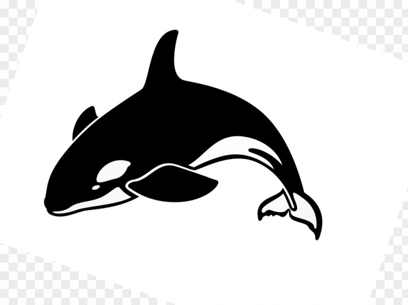 Killer Whale Apache HBase Hadoop NoSQL HTTP Server BigTable PNG