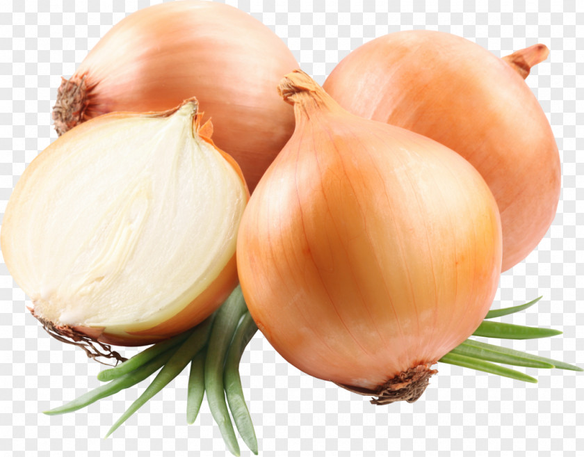 Onions Red Onion Yellow White French Soup PNG
