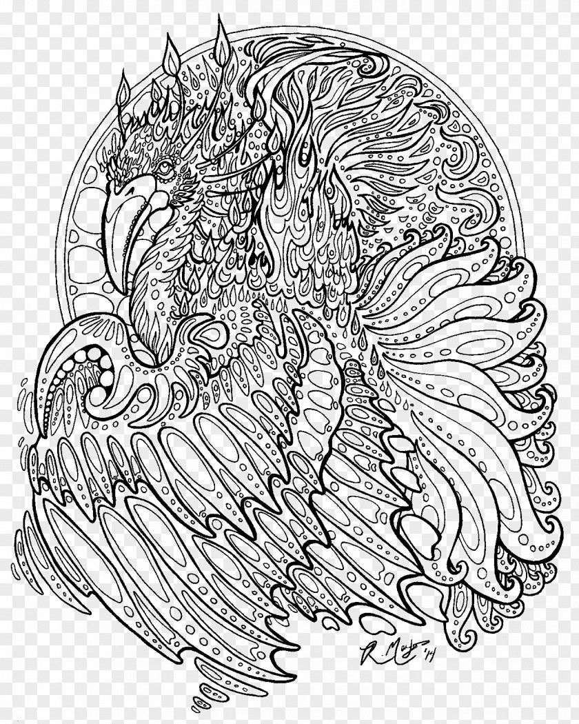 Phoenix Line Art Drawing Black And White PNG