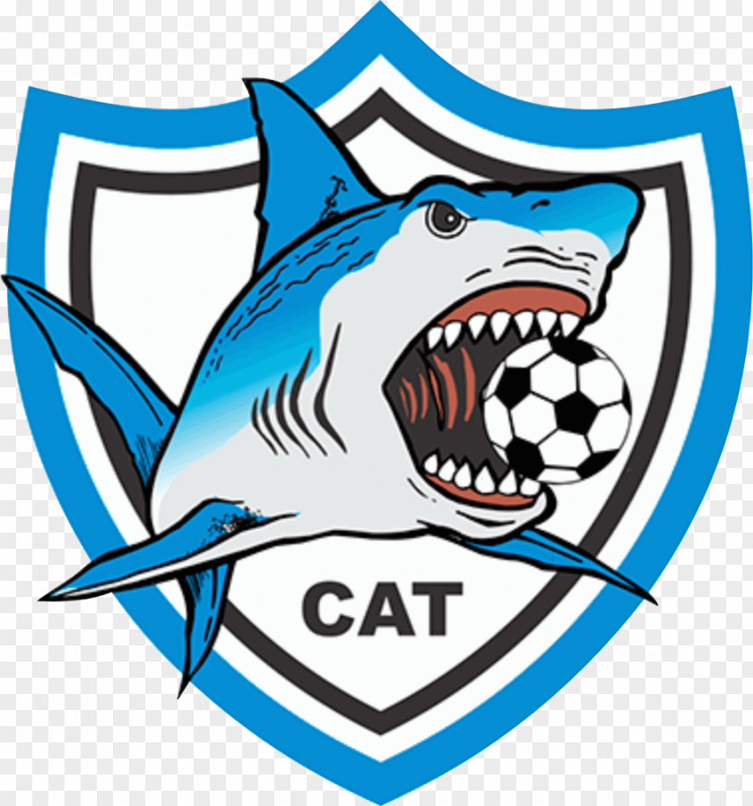 Shark Clube Atlético Tubarão Futebol Football PNG