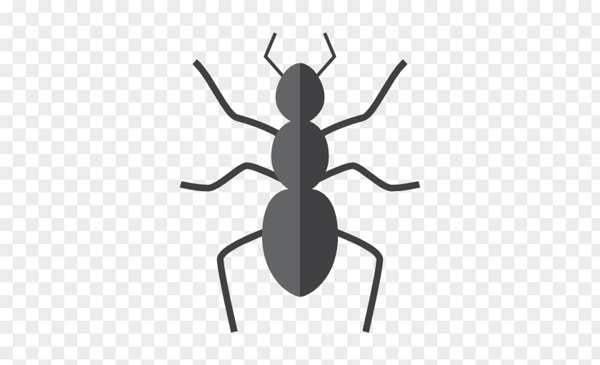 Insect Ant Pest Control Emoji PNG