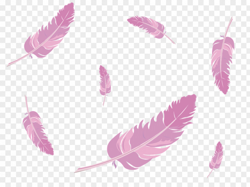 Pink Feather Desktop Wallpaper IPhone 5s 6S Environment PNG