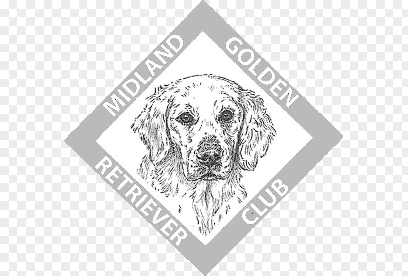 Puppy Dog Breed Retriever Logo PNG