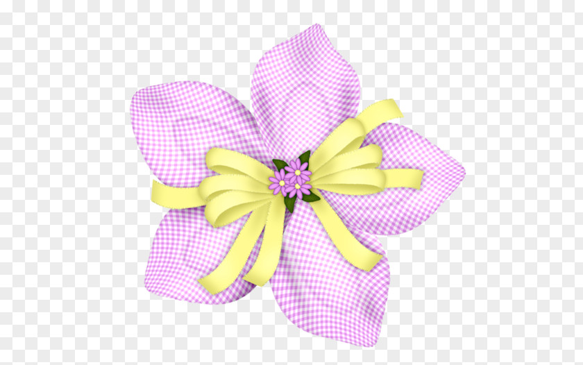 Spring Element Blog Petal Flower PNG