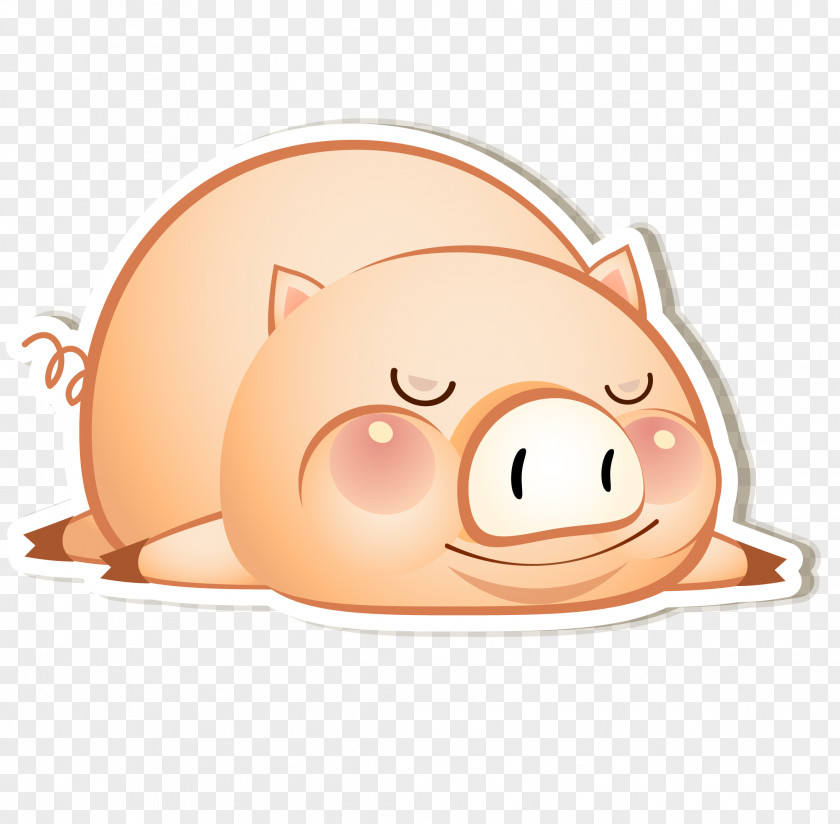 Tummy Cartoon Pig Vector Domestic Clip Art PNG