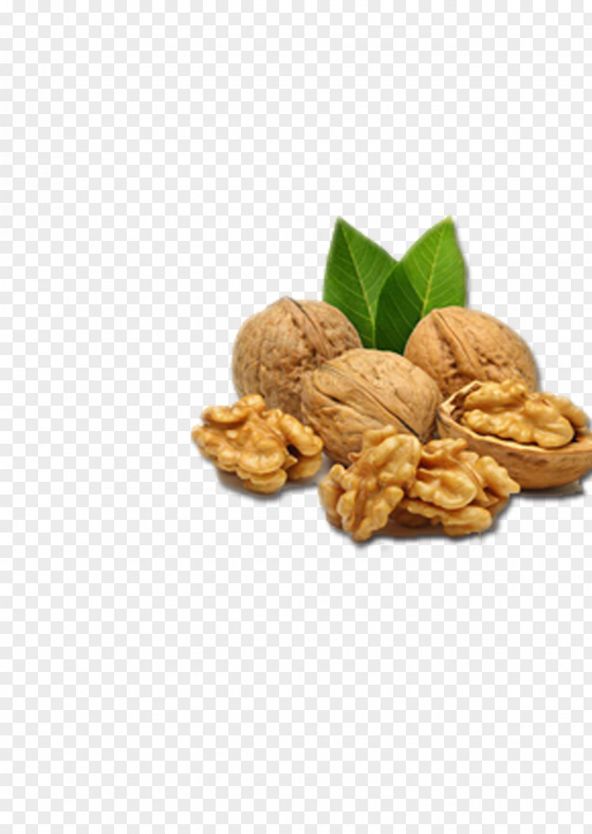 Walnut English Nutrient Seed Auglis PNG