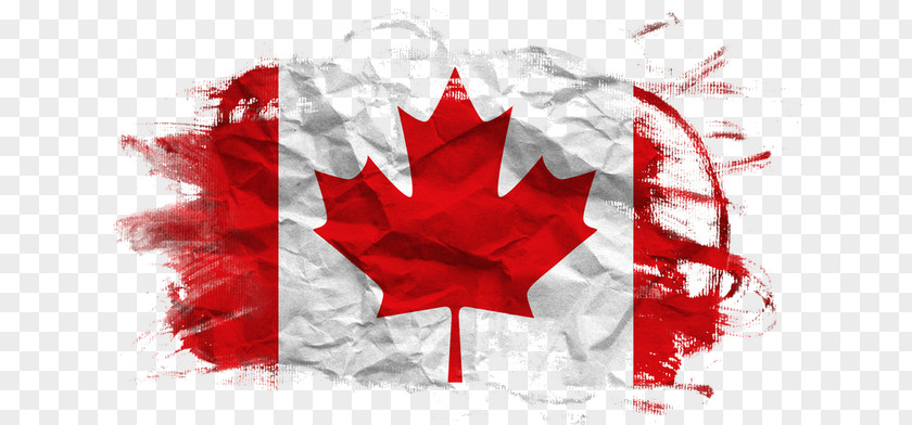 Canadian History Flag Of Canada Italy Paper PNG