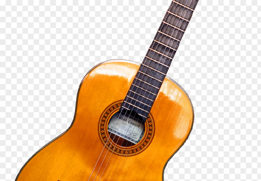 Guitar Classical Acoustic Electric Chord PNG