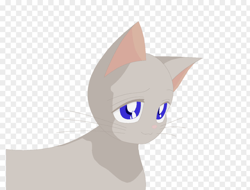 Kitten Whiskers Luna Cat Artemis PNG