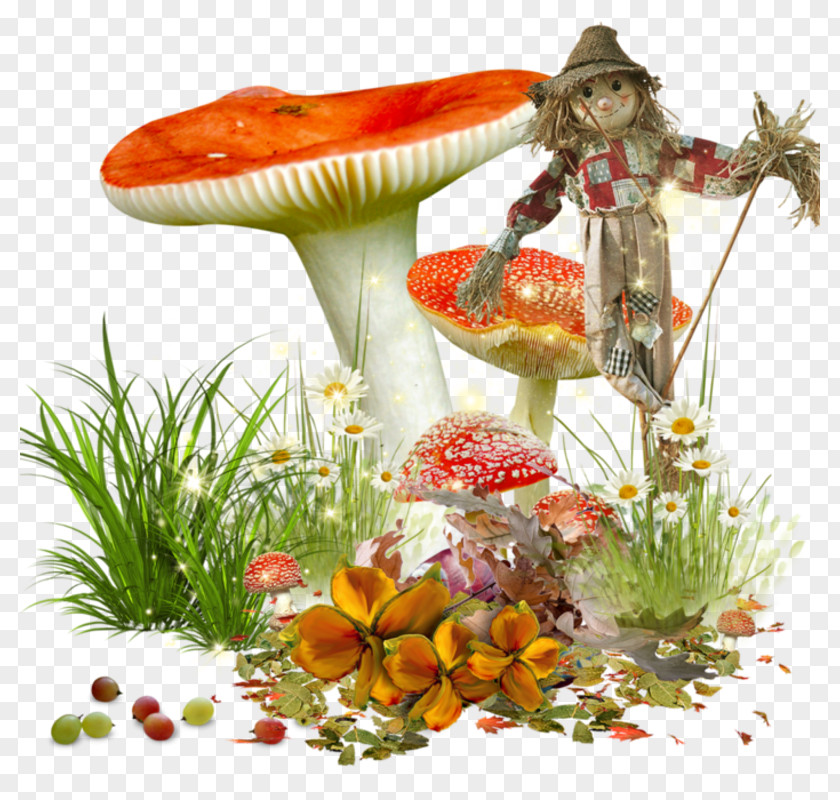 Mushroom Border Clip Art PNG