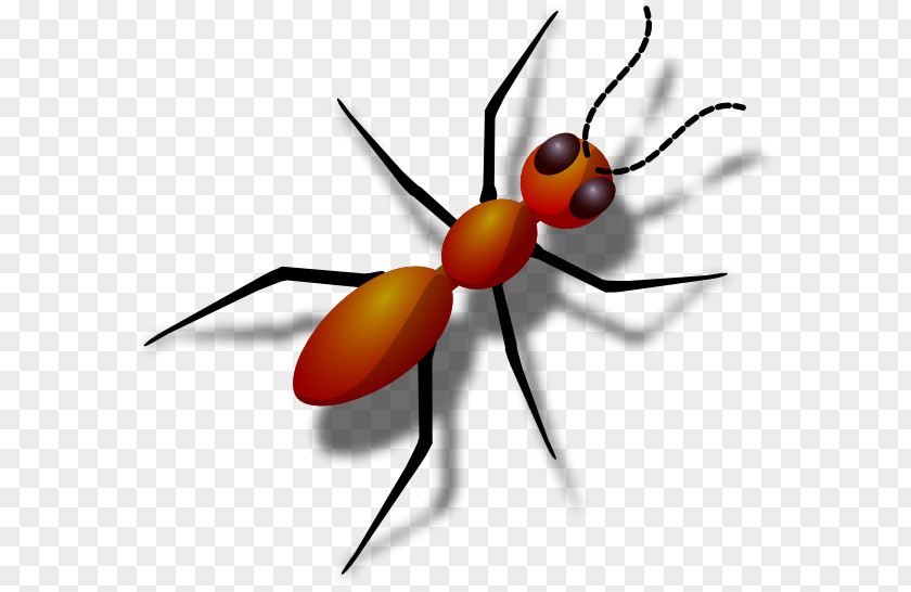 Ants Cliparts Ant Clip Art PNG