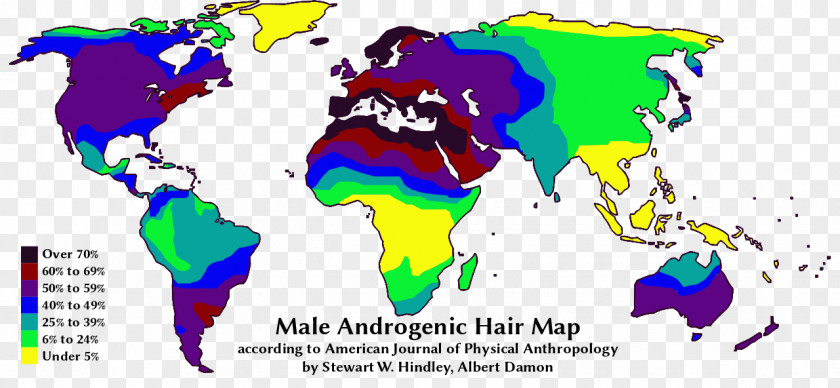 Show Yourself Body Hair Human Facial Map PNG