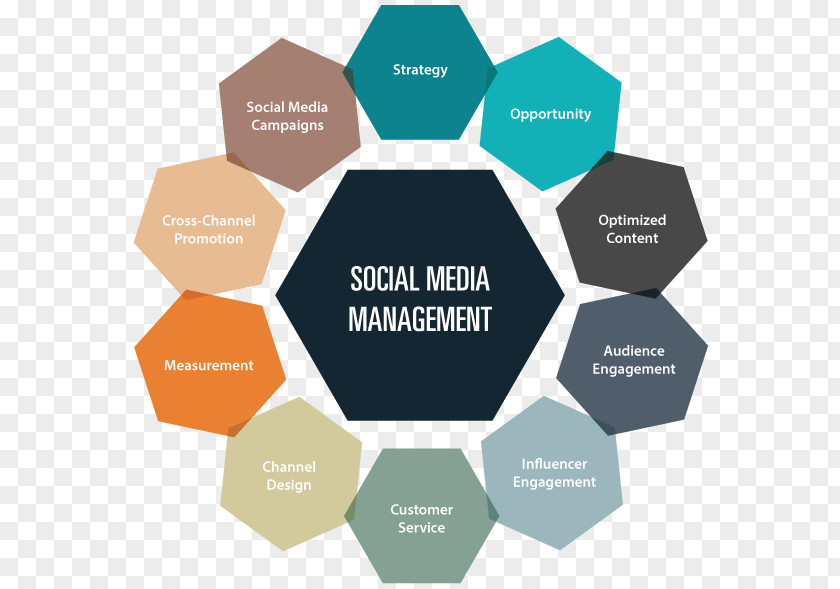 Social Media Organization Management Digital Marketing PNG