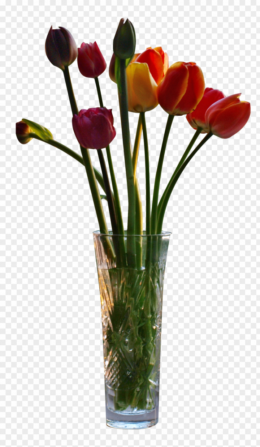 Vase Tulip Clip Art PNG