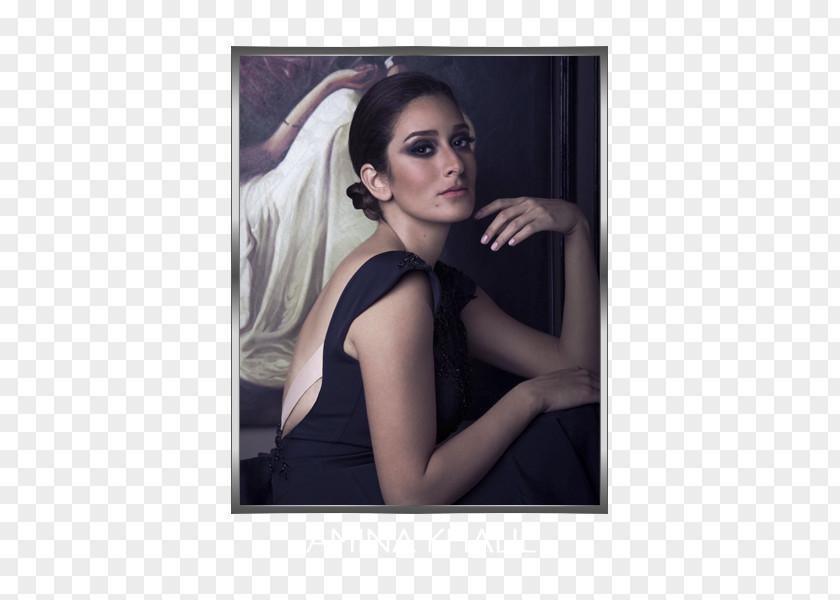 Actor Amina Khalil Grand Hotel Egypt PNG
