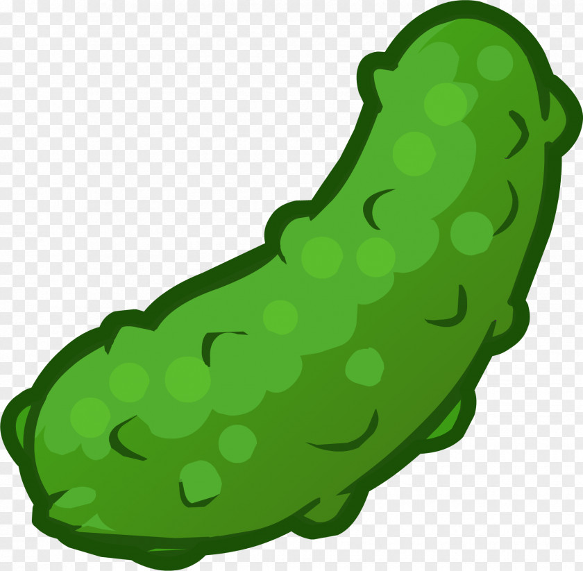 Dill Pickled Cucumber Cartoon Fried Pickle Clip Art PNG