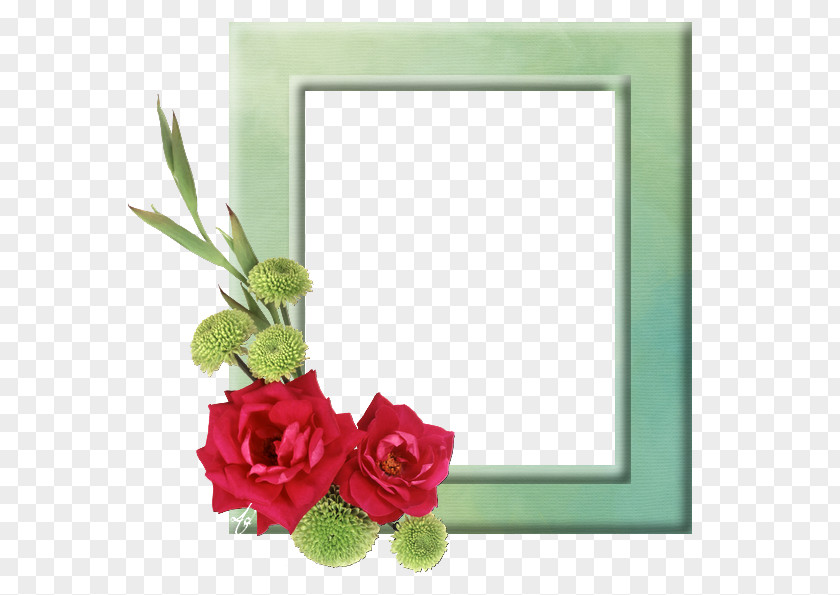 شكر وتقدير Flower Clip Art Rose Image PNG
