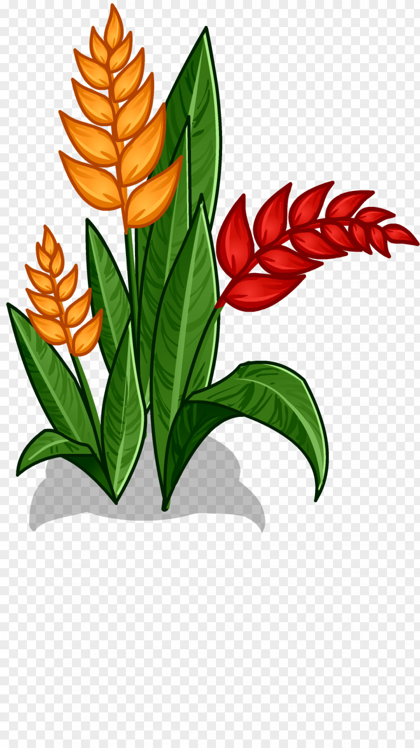 Forest Cut Flowers Amazon Rainforest Clip Art PNG