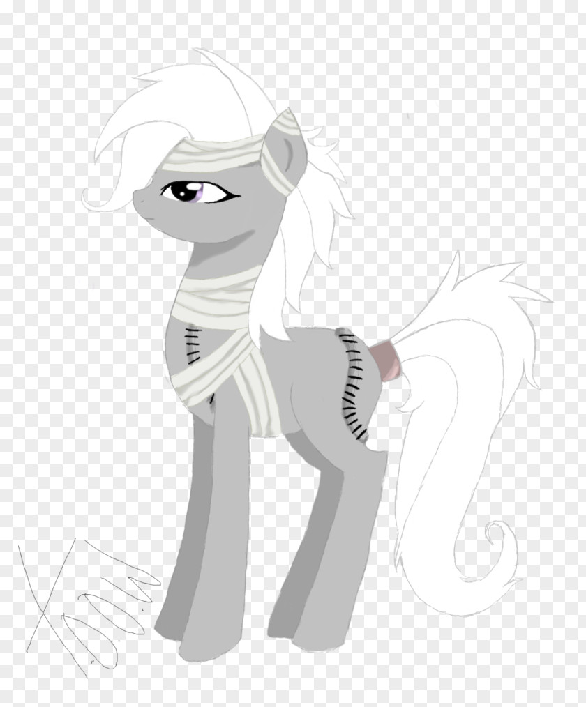 Horse Cartoon PNG