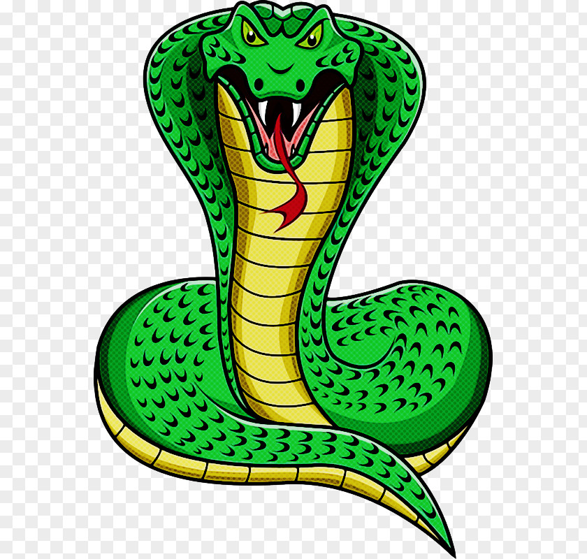 King Cobra Reptiles Drawing Mambas PNG