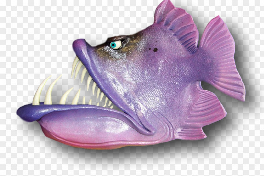 Purple Fish Lilac Violet Organism PNG
