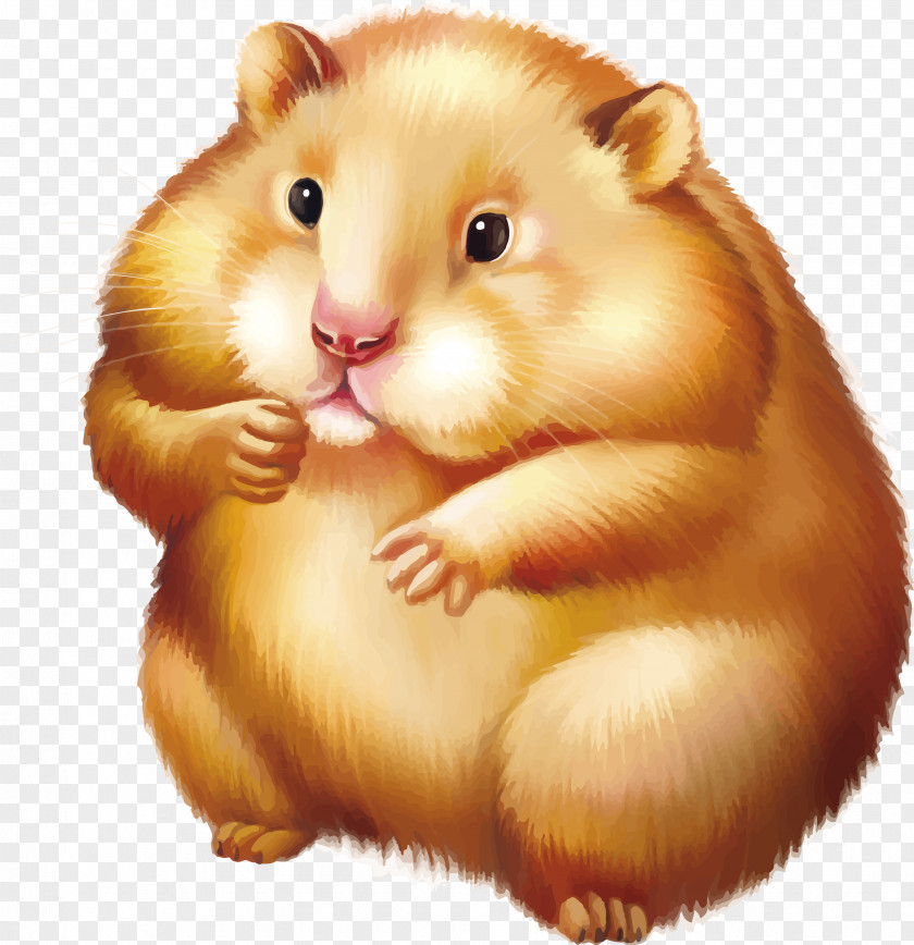 Rat Golden Hamster Gerbil Mouse Stock Photography PNG