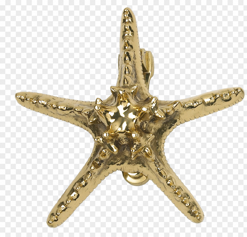 Starfish HD Door Knockers Metal Brass Bells & Chimes PNG