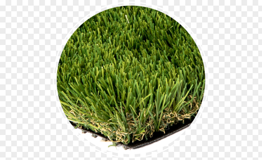 Artificial Turf Lawn Thatch Bentgrass Landscaping PNG