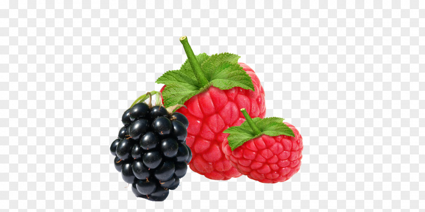 Blueberries Amora Raspberry Health PNG