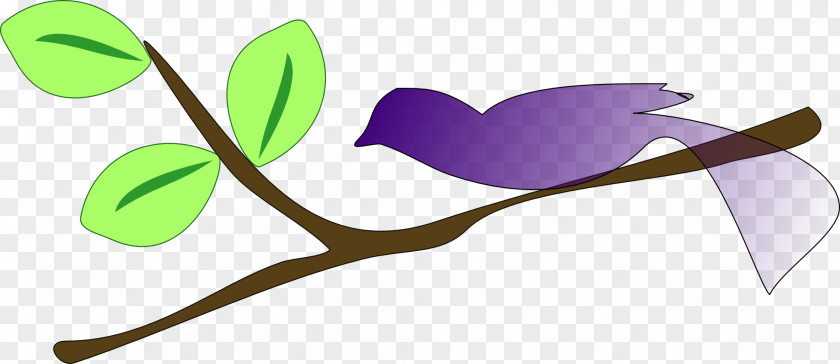 Oak Tree Clipart Branch Clip Art PNG