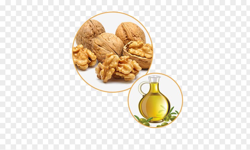 Olive Oil And Walnuts Baby Food Brain Power Healthy Diet PNG