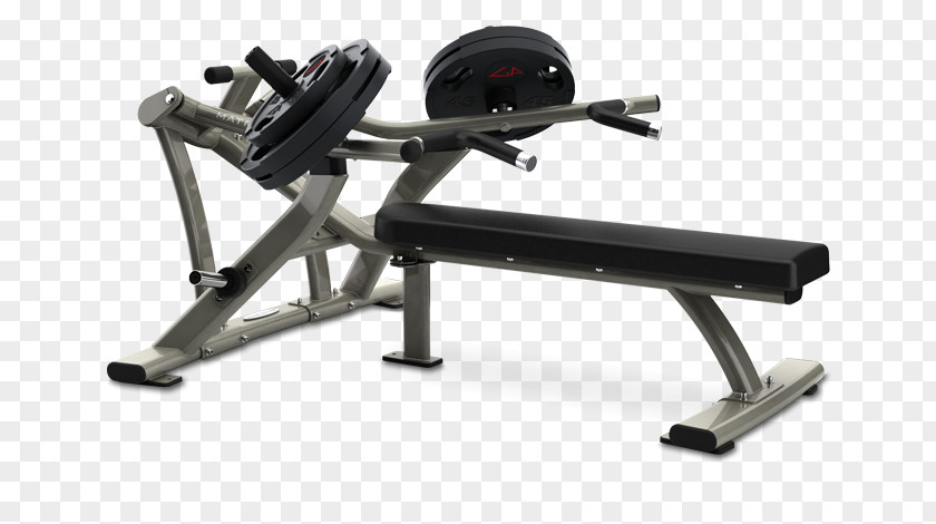 Bench Press Fitness Centre Weight Training Exercise Equipment PNG