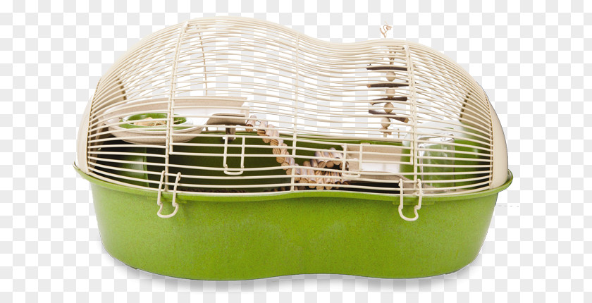 Bird Hamster Cage Gerbil Mouse PNG