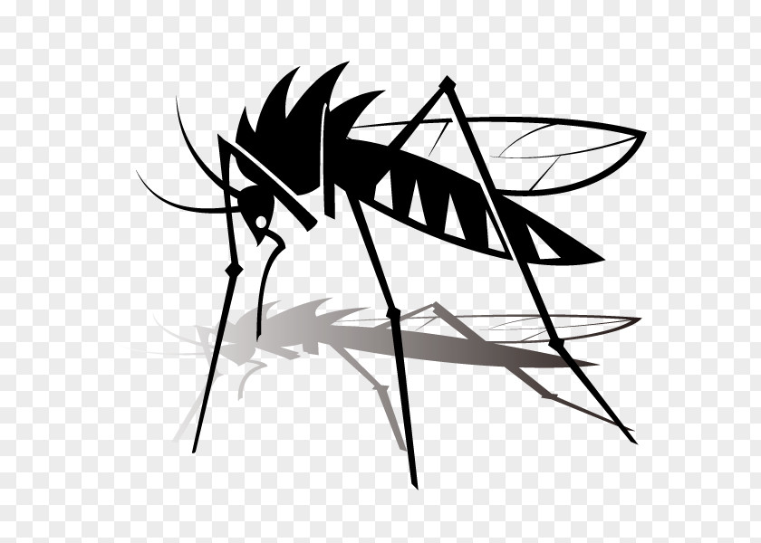 Mosquito Insect Vector Clip Art PNG