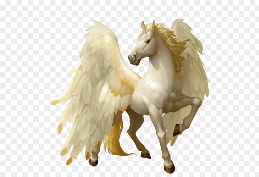 Pegasus Image Wikia PNG
