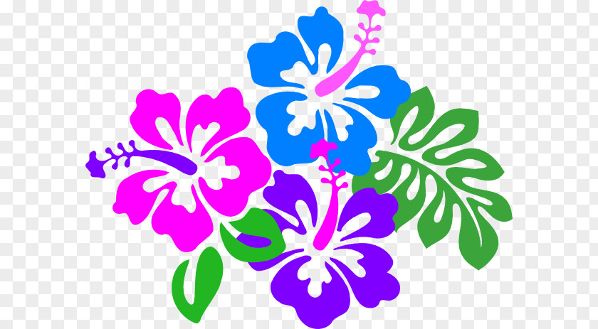Flower Hawaii Hibiscus Clip Art PNG