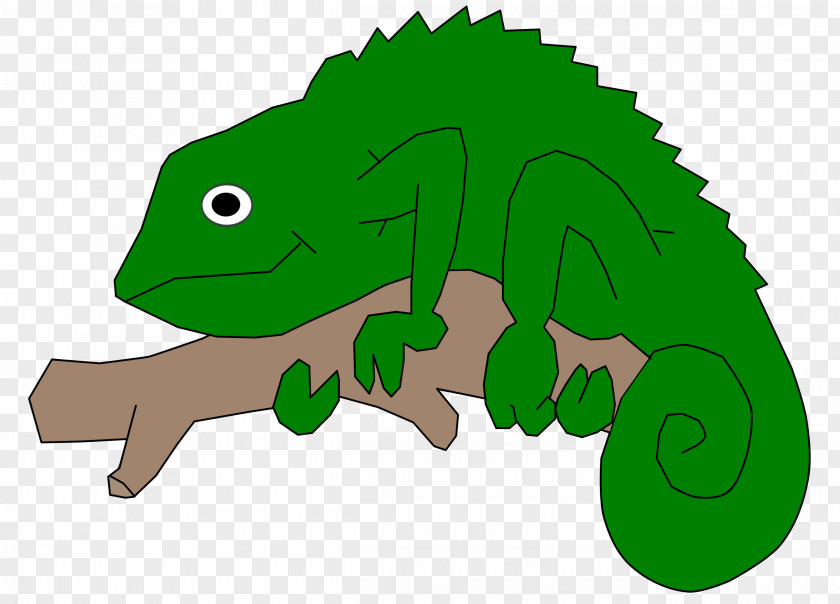 Lizard Common Iguanas Reptile Panther Chameleon Clip Art PNG