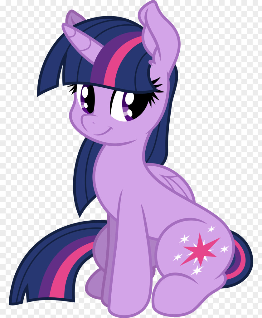 Pony Digital Art Drawing PNG