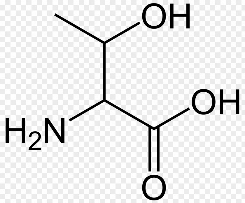 Simple Valine Branched-chain Amino Acid Leucine Alanine PNG
