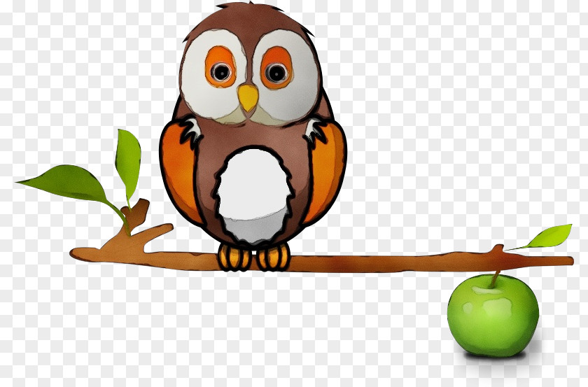 Beak Bird Of Prey Owl Cartoon Clip Art Branch PNG
