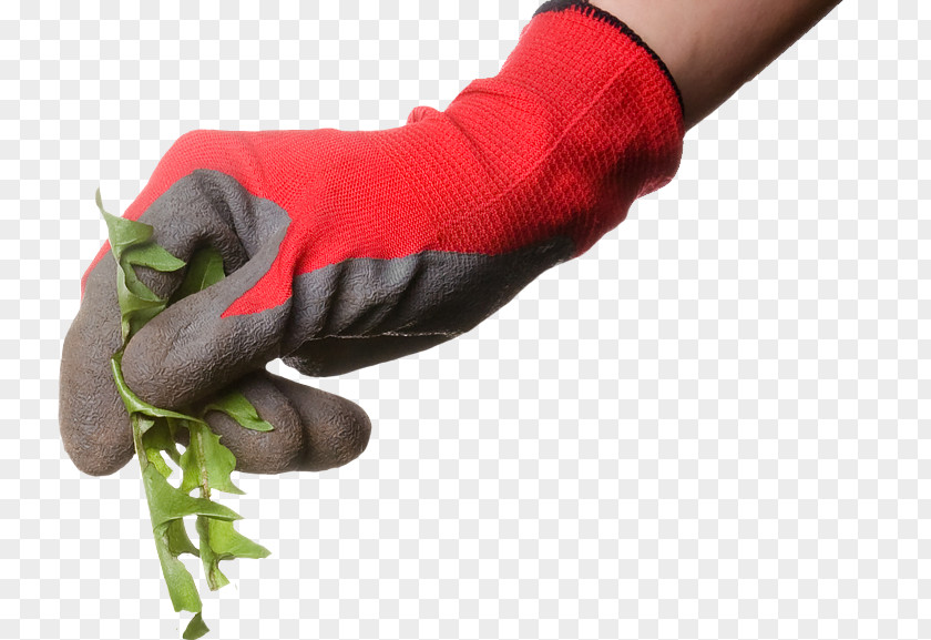Earth Hand Weed Control Herbicide Lawn Small Business PNG