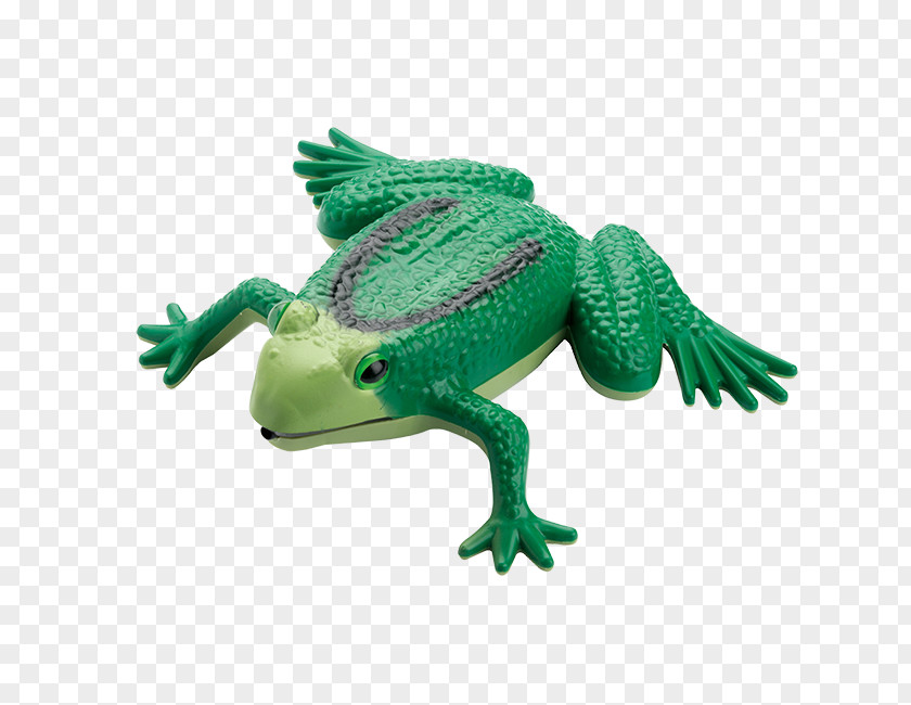 Frog True Sensor Detectie Rožmitálova PNG