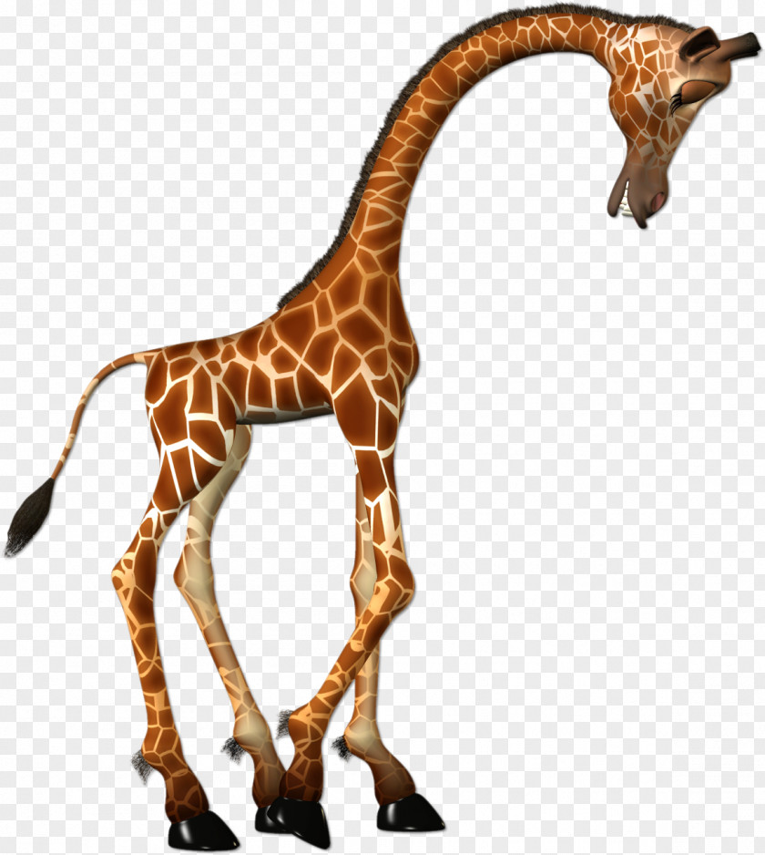 Giraffe Silhouette Child Clip Art PNG