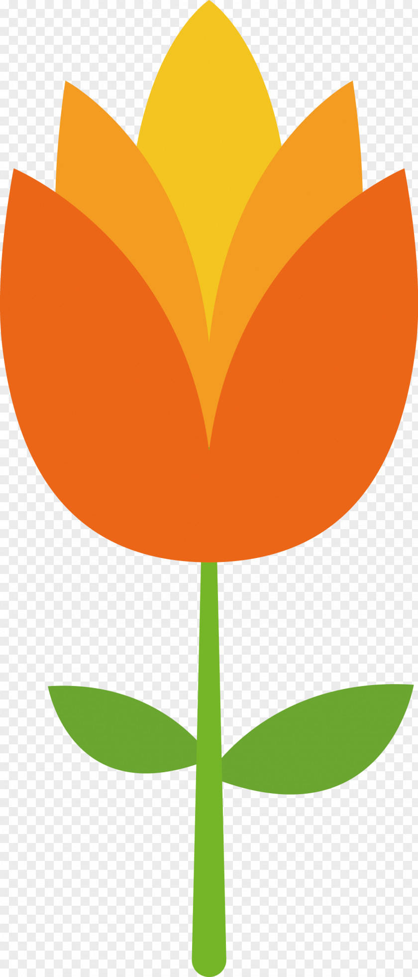Tulip Flower Material Petal Clip Art PNG
