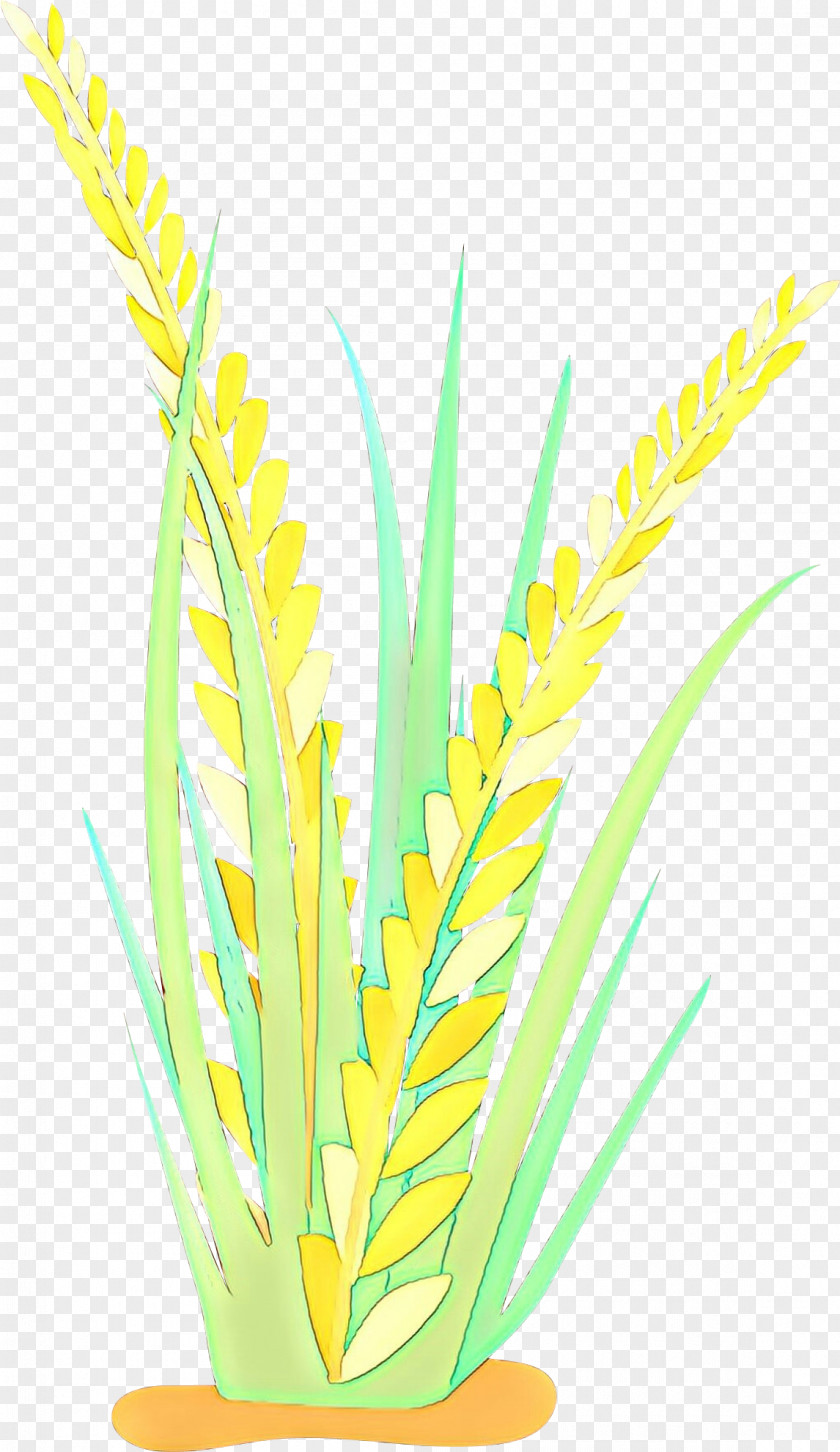 Yellow Grass Plant Family Leaf PNG