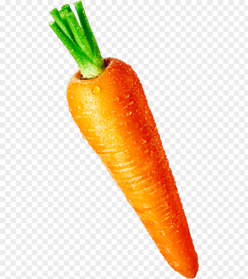 Carrot Juice Baby PNG